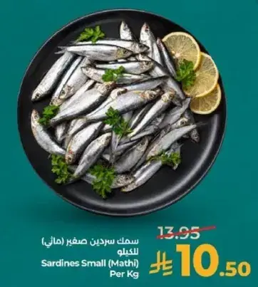 سمك سردين صغير (ماثي)