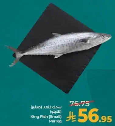 سمك كنعد (صغير)