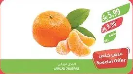 African tangerine.
