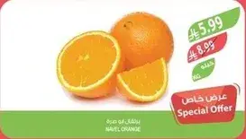 Navel orange.