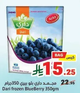 مجمد داري بلو بيري 350جرام