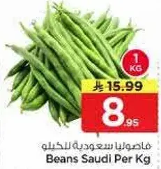 Beans Saudi Per Kg