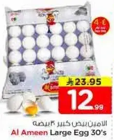الامين بيض كبير 30 حبه