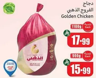 دجاج الفروج الذهبي