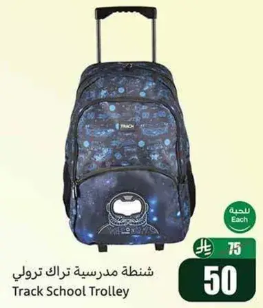 تراك ترولي
