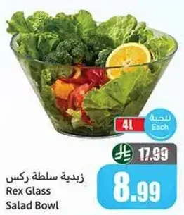 زبديه ركس سلطه