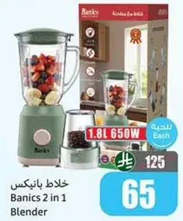 Banics 2 in 1 Blender