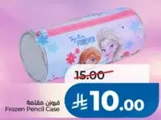 فروزن قلم حافظه