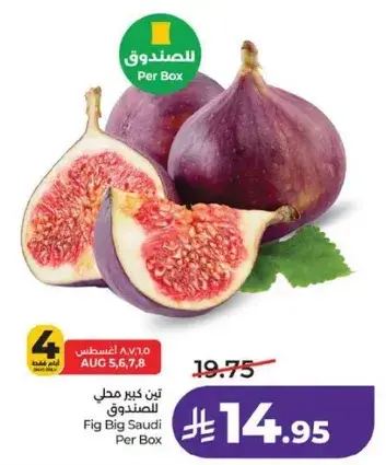تين كبير سعودي للصندوق