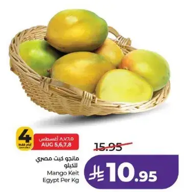 مانجو كيت مصري للكilo