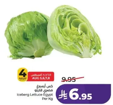 خس ايسبرغ مصري للكilo
