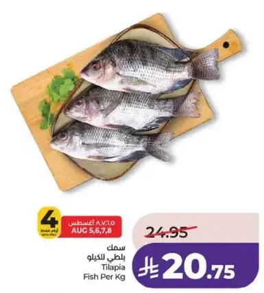 بلطي للكilo