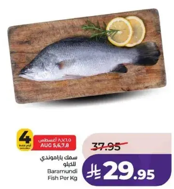 سمك باراموندي للكilo