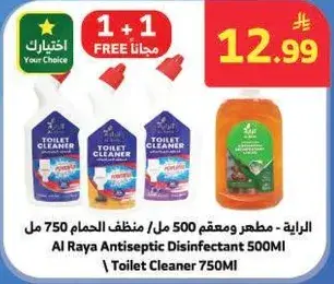 Al Raya Antiseptic Disinfectant 750ML