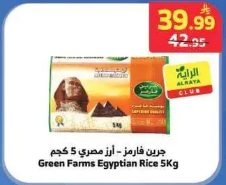 جرين فارمز - ارز مصري 5 كجم
