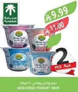 زبادي ندي اليوناني 2 قطعه 160 جرام