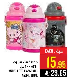 Water Bottle Assorted, 460ml/600ml