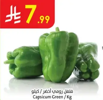 فلفل رومي اخضر / كيلو