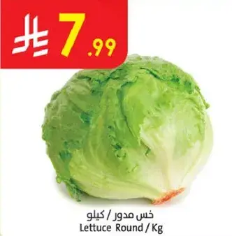 خس مدور / كيلو