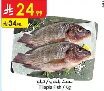 Tilapia Fish / Kg