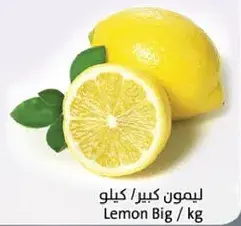 ليمون كبير / كيلو