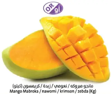 مانجو مبركه (كيلو)