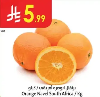 Orange Navel South Africa / Kg