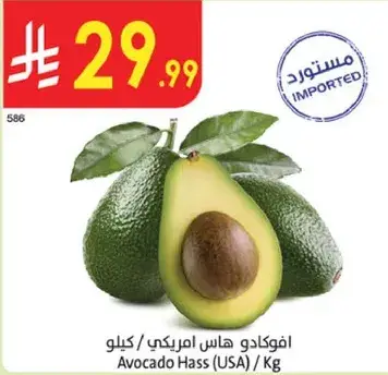 Avocado Hass (USA) / Kg