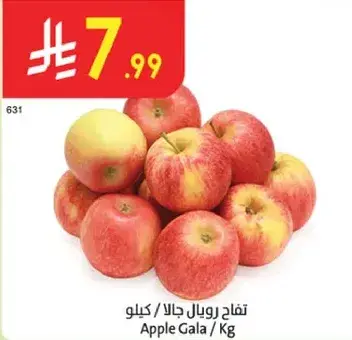 تفاح رويال جالا / كيلو