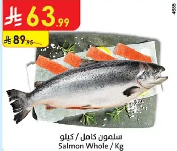 سلمون كامل / كيلو