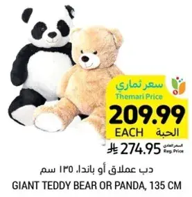 دب عملاق او باندا، 135 سم.