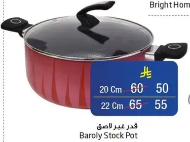 Baroly Stock Pot