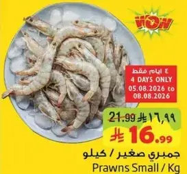 جمبري صغير /كيلو