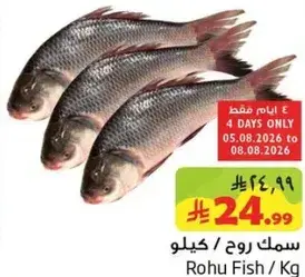 سمك روح /كيلو