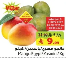مانجو مصري ياسمين / كيلو