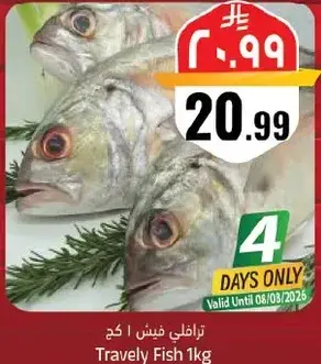 ترابيلي فيش 1 كجم