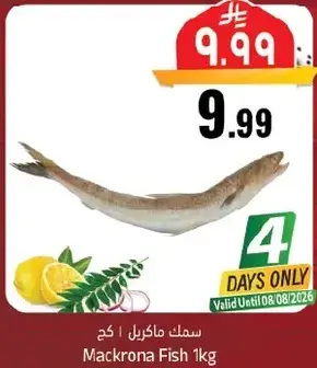 سمك ماكريل 1 كجم