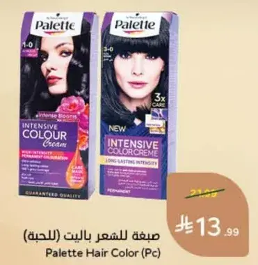 صبغه للشعر باليت (الحجه)