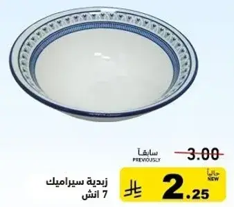 Ceramic bowl 7 inch