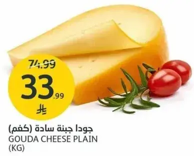 جبنه جودا ساده (كغم)