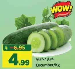 خيار / كيلو