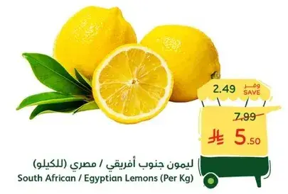 South African / Egyptian Lemons (Per Kg)