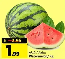 بطيخ / كيلو