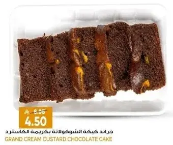 Grand Cream Custard Chocolate Cake