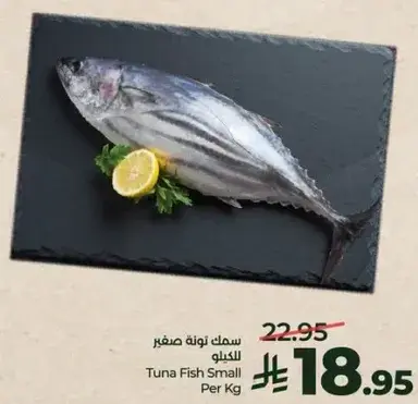 Tuna Fish Small Per Kg