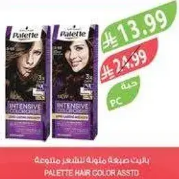 باليت صبغه شعر 24.99.