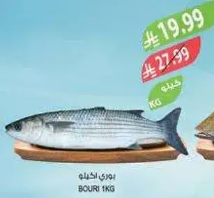 بوري الكليه 1 كيلو.