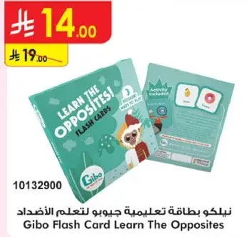 Gibo Flash Card Learn The Opposites with activities included