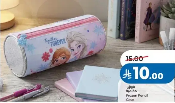 حقيبه اقلام فروزن