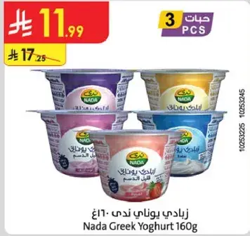 Nada Greek Yoghurt 160g